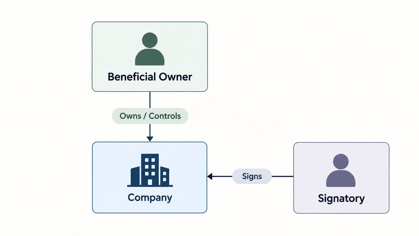 Diagram distinguishing the entity, person authorised to operate its account and natural-person beneficial owner.