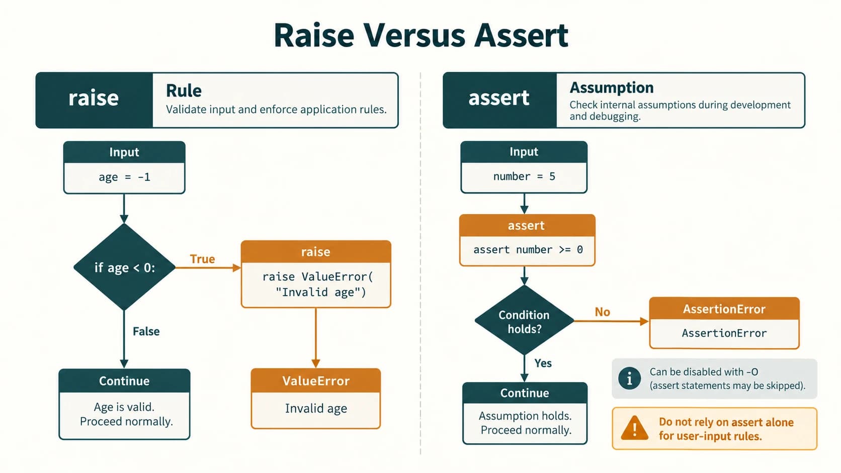 Decision diagram contrasting a required raise-based input rule with an assertion used for debugging assumptions.