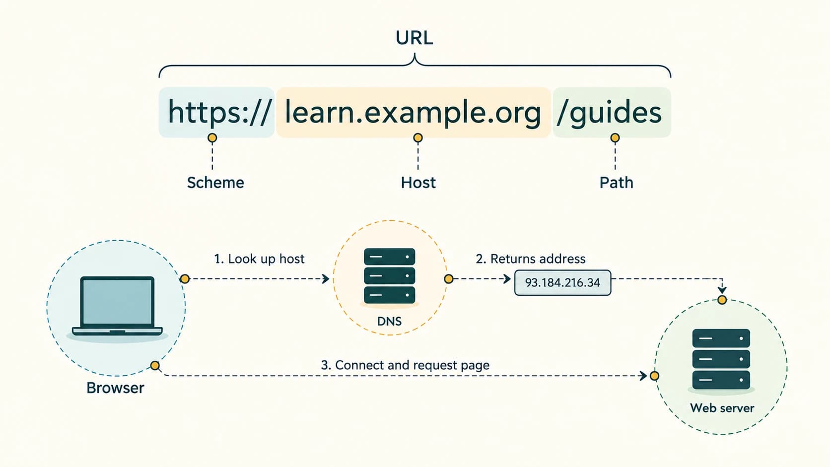 A web URL is divided into scheme, hostname and path, while DNS supplies address information so a browser can connect to the server.