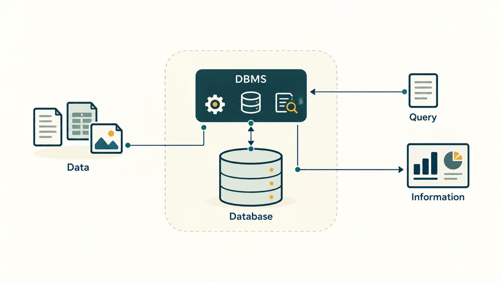 Recorded data is organized in a database managed by DBMS software; queries retrieve results that can be turned into useful information.