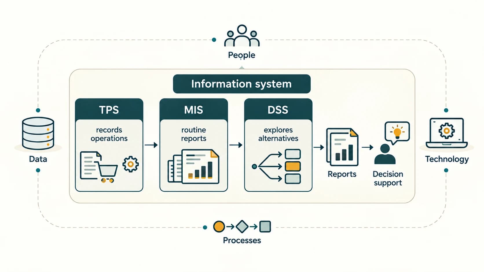 Transactional records feed management reports, and decision support tools help users explore alternatives within an information system.