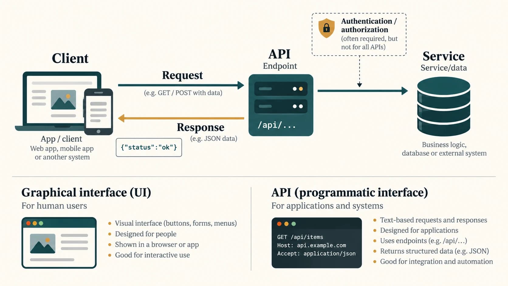 A client requests information from an API endpoint, and the service returns an appropriate response under access rules.