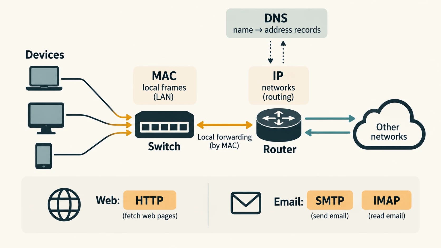 LAN devices forward local frames through a switch, IP networks use a router, and DNS, HTTP and email protocols provide different services.