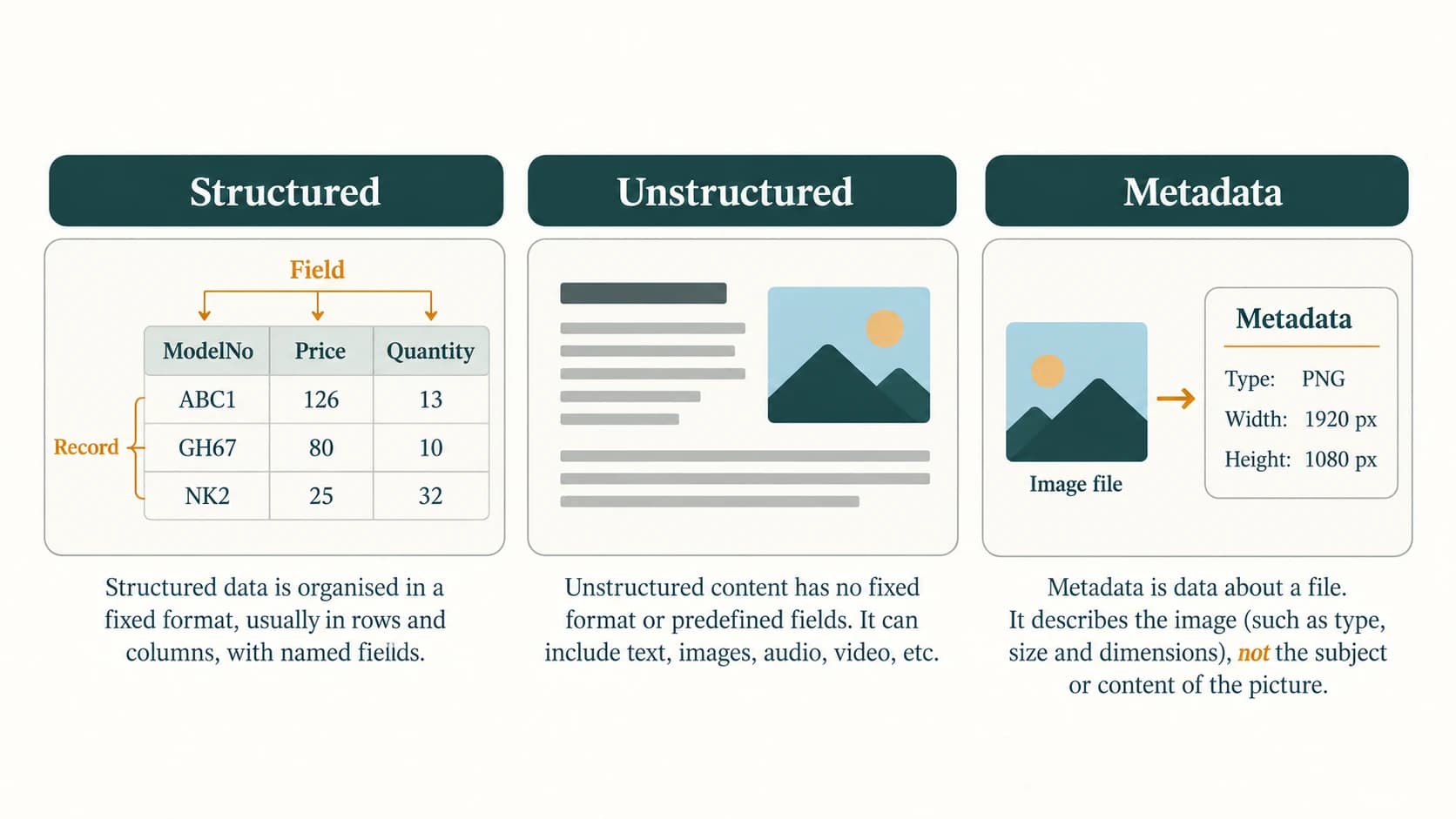 A named-field table is contrasted with free-form content, alongside descriptive file metadata for a digital picture.