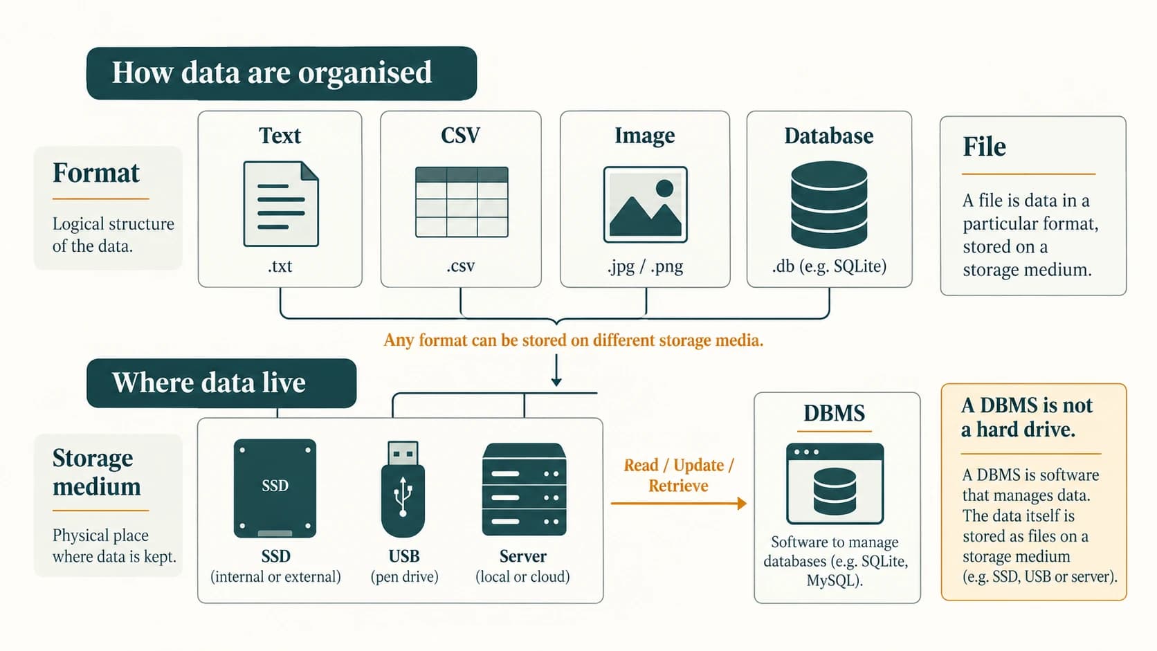 Logical file formats and databases are distinguished from the physical devices or services that store their data.