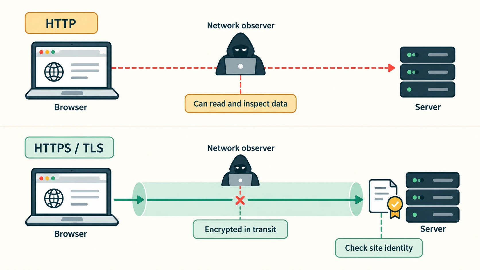 HTTP traffic is shown without TLS transport protection, whereas HTTPS protects communication between a browser and the verified destination.